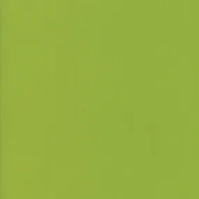 Bella Solids Pesto
