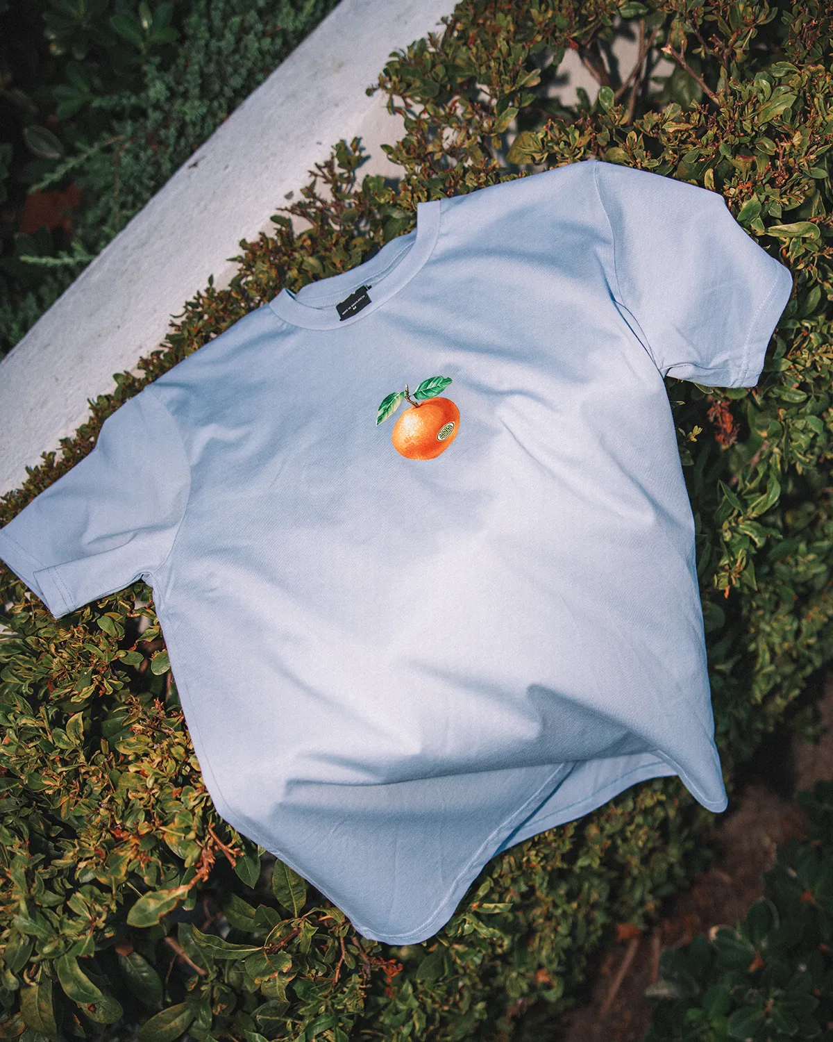 FRUIT TEE
